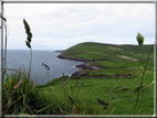 foto Penisola di Dingle